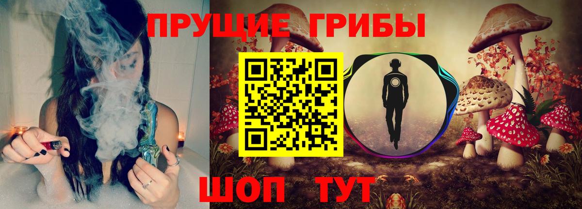 Псилоцибиновые грибы мицелий Киреевск